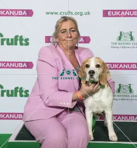 Crufts 2019 - Best of Breed / Hound