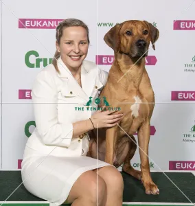 Crufts 2019 - Best of Breed / Hound