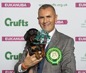 Crufts 2019 - Best of Breed / Hound