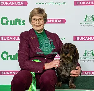 Crufts 2019 - Best of Breed / Hound