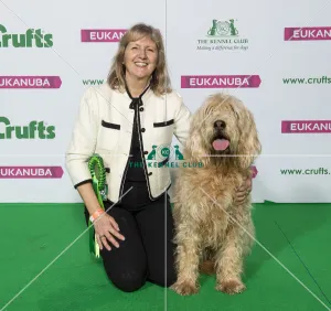 Otterhound