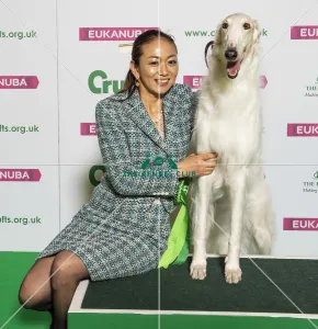 Crufts 2019 - Best of Breed / Hound