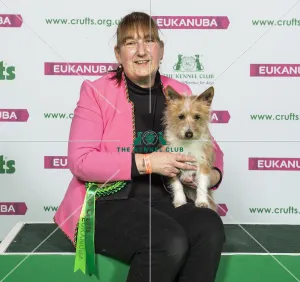 Crufts 2019 - Best of Breed / Hound