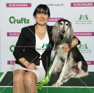 Saluki