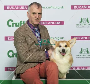 Crufts 2019 - Best of Breed / Pastoral