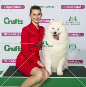 Crufts 2019 - Best of Breed / Pastoral