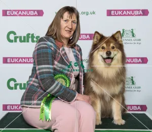 Crufts 2019 - Best of Breed / Pastoral Crufts 2019 - Best of Breed / Pastoral