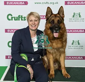 Crufts 2019 - Best of Breed / Pastoral