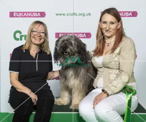 Crufts 2019 - Best of Breed / Pastoral