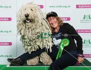Crufts 2019 - Best of Breed / Pastoral