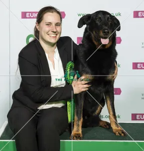 Crufts 2019 - Best of Breed / Pastoral