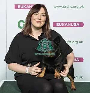 Crufts 2019 - Best of Breed / Pastoral