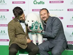 Crufts 2019 - Best of Breed / Pastoral