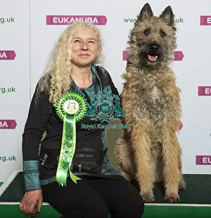 Crufts 2019 - Best of Breed / Pastoral
