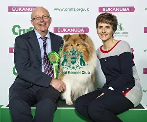 Crufts 2019 - Best of Breed / Pastoral