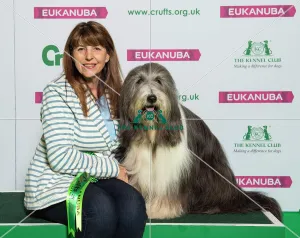 Crufts 2019 - Best of Breed / Pastoral