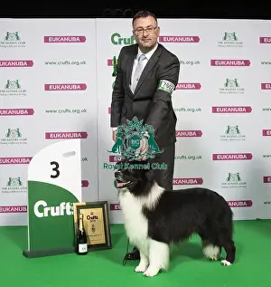 Crufts 2019 - Best of Breed / Pastoral
