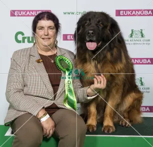 Crufts 2019 - Best of Breed / Pastoral