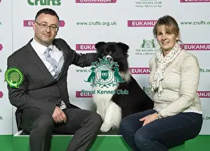 Crufts 2019 - Best of Breed / Pastoral