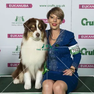 Australian Shepherd