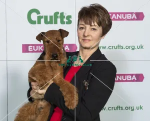 Crufts 2019 - Best of Breed / Terrier