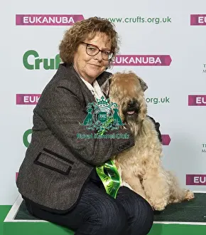 Crufts 2019 - Best of Breed / Terrier