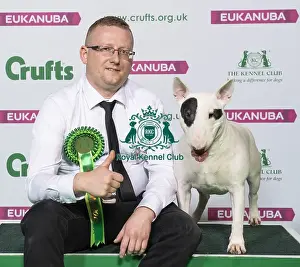Crufts 2019 - Best of Breed / Terrier