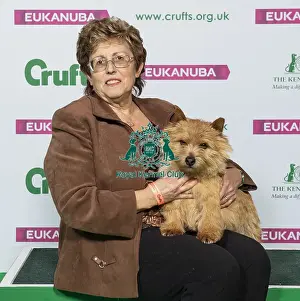 Crufts 2019 - Best of Breed / Terrier