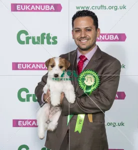 Crufts 2019 - Best of Breed / Terrier