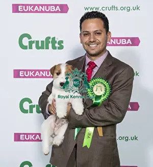 Crufts 2019 - Best of Breed / Terrier