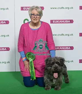 Crufts 2019 - Best of Breed / Terrier