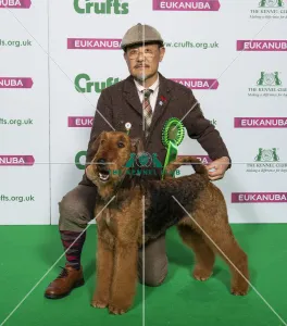 Airedale Terrier