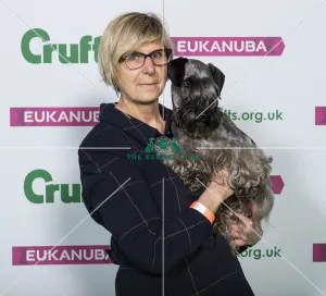 Crufts 2019 - Best of Breed / Terrier