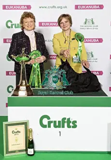Crufts 2019 - Best of Breed / Terrier