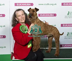 Crufts 2019 - Best of Breed / Terrier
