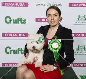 Crufts 2019 - Best of Breed / Terrier