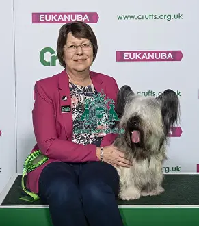 Crufts 2019 - Best of Breed / Terrier