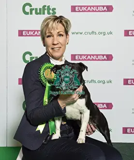 Crufts 2019 - Best of Breed / Terrier