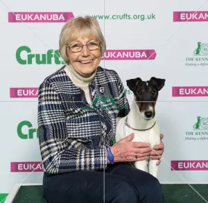 Crufts 2019 - Best of Breed / Terrier