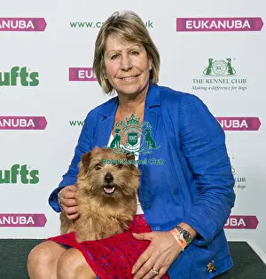Crufts 2019 - Best of Breed / Terrier