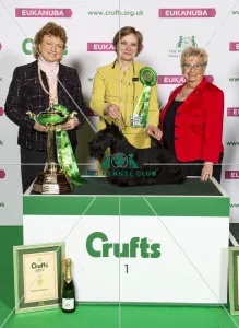 Crufts 2019 - Best of Breed / Terrier