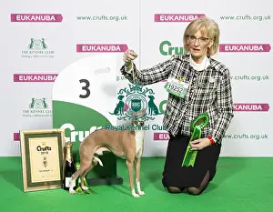 Crufts 2019 - Best of Breed / Toy