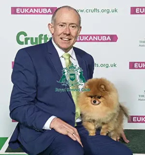 Crufts 2019 - Best of Breed / Toy