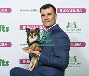 Crufts 2019 - Best of Breed / Toy