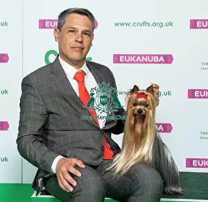 Crufts 2019 - Best of Breed / Toy