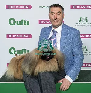 Crufts 2019 - Best of Breed / Toy
