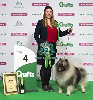Crufts 2019 - Best of Breed / Utility