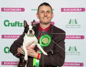 Crufts 2019 - Best of Breed / Utility