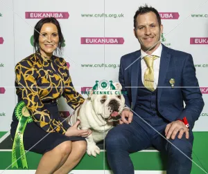 Crufts 2019 - Best of Breed / Utility