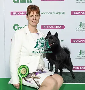 Crufts 2019 - Best of Breed / Utility